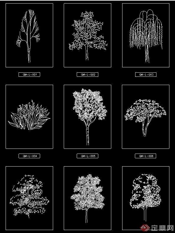 27棵不同的乔木植物cad立面图