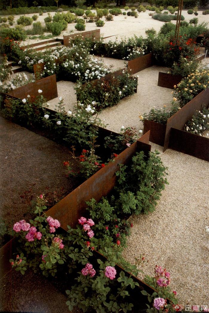 欧式风格景观节点设计图-月季耐候钢景墙花卉