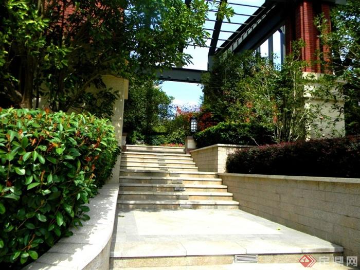 台阶,矮墙,种植池,灌木丛,住宅景观红花檵木,女贞