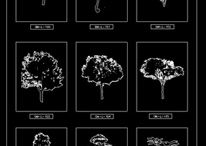 27棵不同的乔木植物CAD立面图