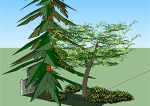 某个室外园林植物SU(草图大师)模型素材