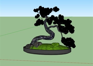 某室内盆栽松树设计SU(草图大师)模型