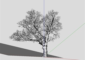 某园林植物古树设计SU(草图大师)模型