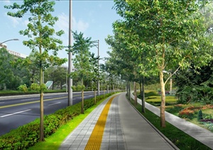 某人行道以及车行道道路绿化设计PSD效果图