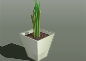 某特色植物花盆设计SU(草图大师)模型