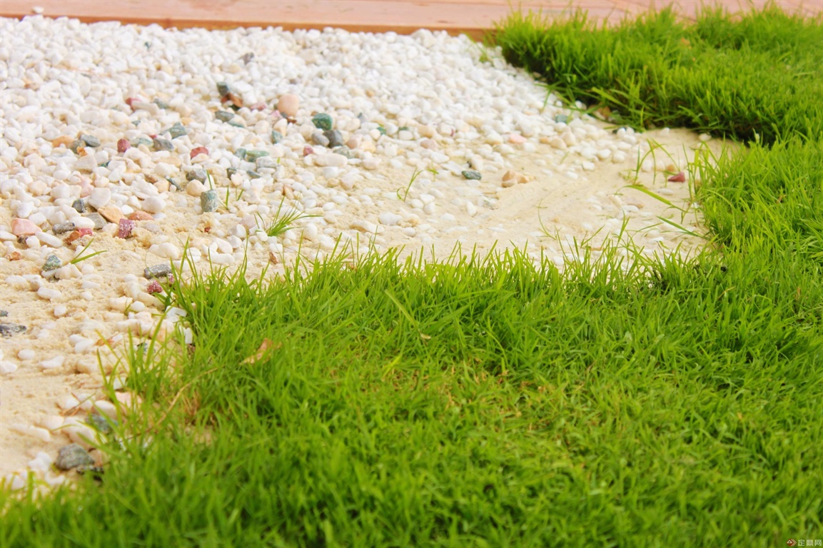 白色鹅卵石与草坪的过渡，起到空间拓展的作用