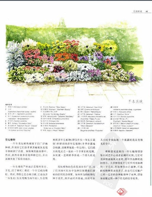 花境设计师花镜设计、种植、养护实用技巧(2)