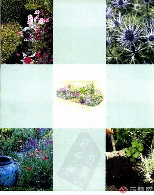 花境设计师花镜设计、种植、养护实用技巧(3)