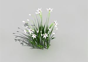 景观植物草花素材3DMAX模型