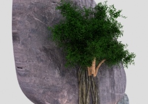 园林景观景石3DMAX模型