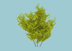 景观植物小灌木素材3DMAX模型