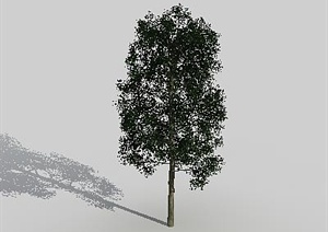 某配景素材乔木设计3DMAX模型