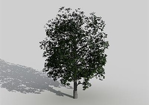 某园林植物配景素材3DMAX模型
