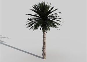 配景素材景观植物棕榈树素材3DMAX模型