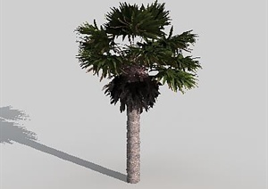 配景素材景观植物棕榈树素材设计3DMAX模型