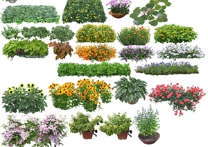 多款花卉绿色盆栽植物设计PSD图