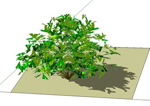 某设计素材植物灌木设计SU(草图大师)模型