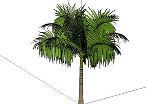 某景观素材热带棕榈设计SU(草图大师)模型