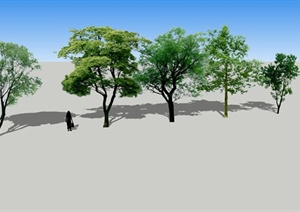 园林景观五棵2D树木SU(草图大师)模型
