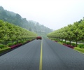 贵州某公路绿化景观设计效果图