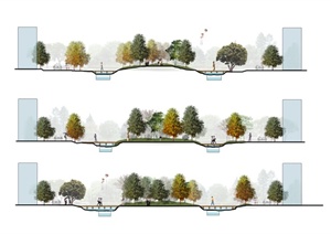 某公园道路植物景观设计PSD图