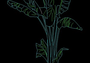 室内盆栽植物设计CAD立面图