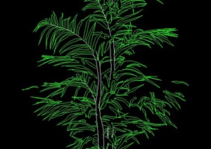 一棵室内盆栽植物设计CAD立面图