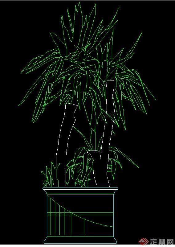 一棵盆栽植物设计CAD立面图(1)