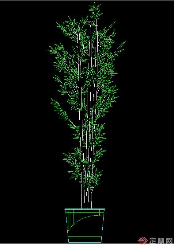 一棵竹子盆栽设计CAD立面图(1)
