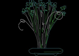 一棵盆栽植物设计立面图