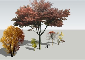 6棵园林景观色叶树种SU(草图大师)模型