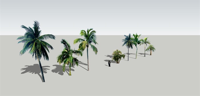 8棵景观棕榈树种su模型