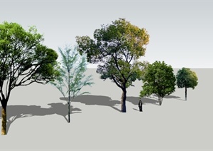 5棵景观常绿植物SU(草图大师)模型素材