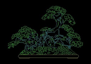 一棵盆景植物设计CAD立面图