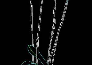 某棵盆栽植物CAD立面图