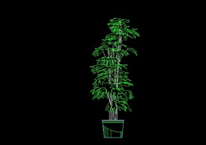 某现代室内盆栽植物设计CAD图