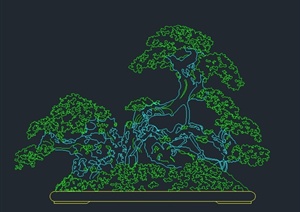 一棵盆景设计CAD立面图