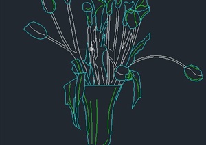 一棵盆栽马蹄莲植物CAD立面图