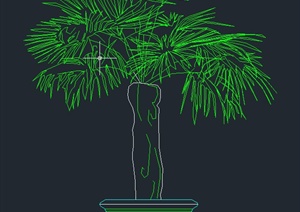 一棵盆栽植物的CAD立面图