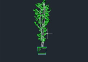 某室内盆栽植物竹子设计CAD方案图