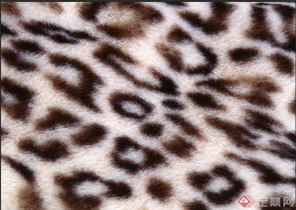 100张3DMAX动物纹地毯材质(1)