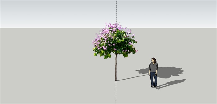 一棵观花植物su模型素材
