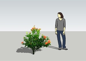 一棵小灌木花卉植物设计SU(草图大师)模型