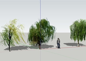 3棵水性植物柳树设计SU(草图大师)模型