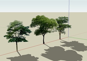 三棵常绿植物设计SU(草图大师)模型