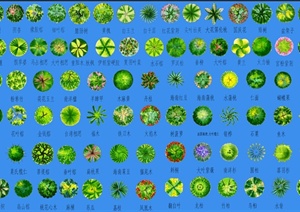 景观植物顶视素材（jpg、psd）