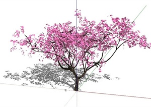 各种植物3D与2D模型素材（SU(草图大师)）