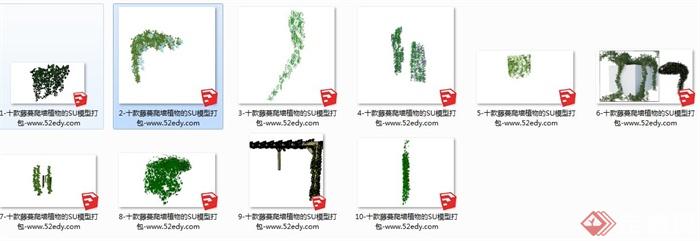 十种藤蔓爬墙植物的SU模型素材(4)