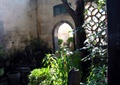 庭院景观,窗洞,屋檐,盆栽