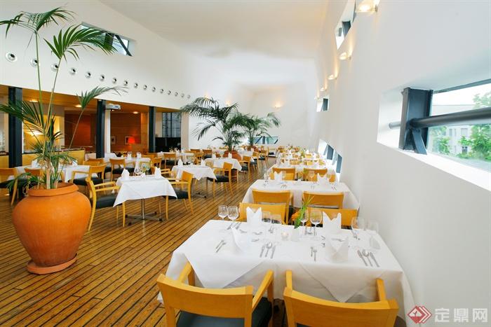 餐厅空间,餐桌椅,植物盆栽,灯饰,木质地板
